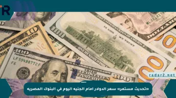 «تحديث مستمر» سعر الدولار أمام الجنيه اليوم في البنوك المصرية